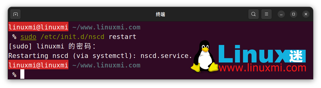 怎样在 Linux 上审查和刷新 DNS 缓存