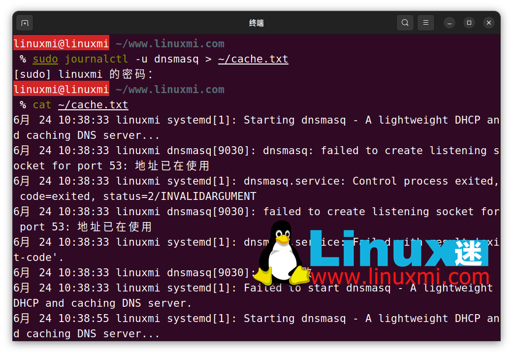 怎样在 Linux 上审查和刷新 DNS 缓存